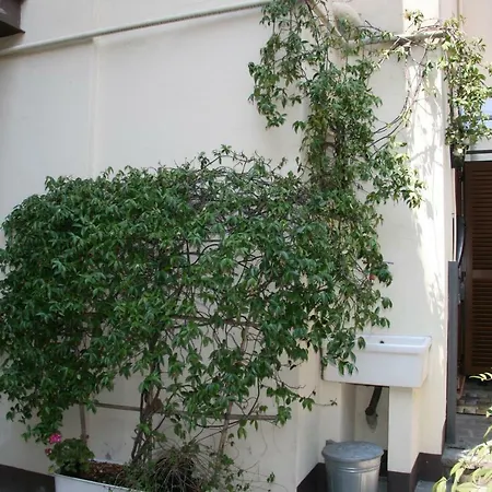 公寓 Garage36 帕爾馬